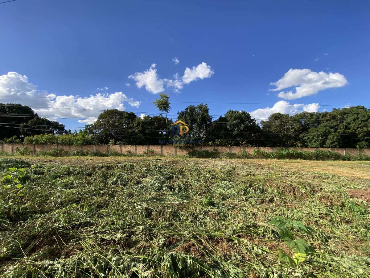 Lote com 20.000m² na DF-250 do Paranoá| Escriturado e Murado | Ideal para Grandes Empresas - Ricardo Passos - Corretor de Imóveis